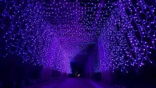 Twinkly | 100' LED Tunnel