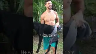 Guy Adopts A 3-Legged Dog After His Divorce | The Dodo