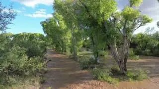 San Pedro River 