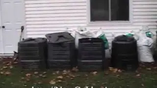 Growing Mushrooms in compost heap