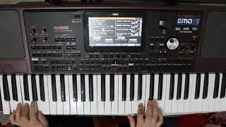GÖZLERİN - KORG PA1000(Zülfü Livaneli Parçası)