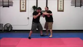 Bret Gordon Red Pill Aiki - Aiki for Striking