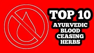 TOP 10 AYURVEDIC HERBS THAT STOP BLEEDING NATURALLY | BLOOD CEASING / STYPTIC HERBS OF AYURVEDA 