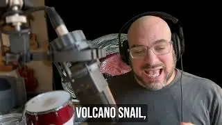 Volcano Snail | Song A Day #5391