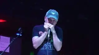 The Wizard Harmonica Solo