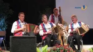TI,TI,TI MOJA ALENIKCA (MOJA ROŽICA)