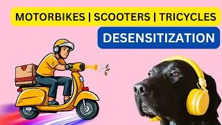 Sound Desensitization for Dogs | Motorcycle Sounds | Honking | #2025DogTraining