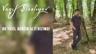 Vaqif Shixaliyev - Bu yasil agacin alti bizimdi
