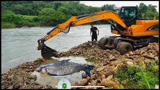 New Fishing Technology Using Excavators as Fish Traps