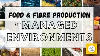 Food and Fibre Production in Managed Environments - Year 3/4 Design & Tech AC9TDE6K03 I AC9TDE4K01