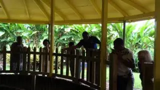 Old fashioned sugar cane processing