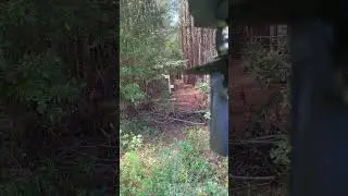 CS1.5 shooting puffball lasers