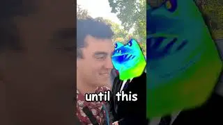 I livestreamed 50m in the air