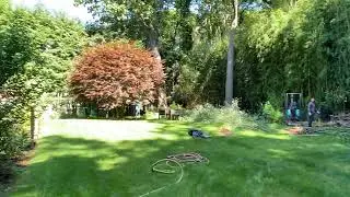 Bamboo Containment - Montvale, NJ   Removal BEFORE