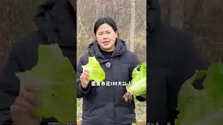 Can Dong Yuhui s three chickens be eaten Different farming methods have different cost dif