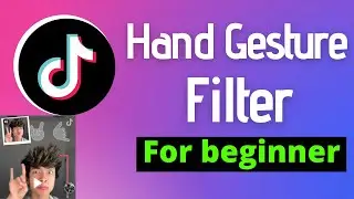 How to Get TikTok Hand Gesture Filter [ Updated ]