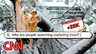 Can you guess the most searched news story this week? | Looped In