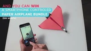 Pet's VS Paper Airplanes -  contest