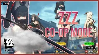ZZZ Co-op Mode But Skin Mods