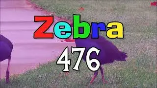 My New Opening Logo