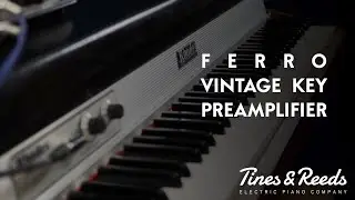 Fender Rhodes Preamplifier FERRO by Tines & Reeds