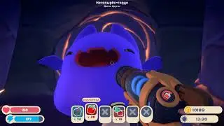 Федор играет в SlimeRancher2