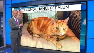 Wes Hohenstein's Kick-Off of Second Chance's FURtual Racing for Rescues 2021 Event