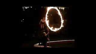 Professional Trick Riding & Rosinback Riding: Laurie Lee of Areli Equine Entertainment
