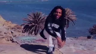 Chris Travis (ONLY) - ForestFires