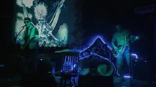 The Fossil Records - Video Killed the Radio Star