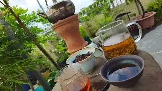 2025 Jingmai ancient tree red tea is here!