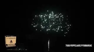 7668 Poppelaars Pyromaniac