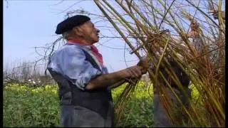 Grupo Folcl&oacute;rico de Dan&ccedil;as e Cantares de Mafamude