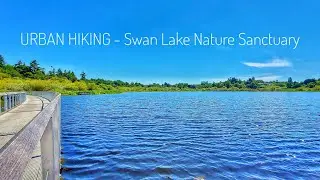 Urban Hiking - Swan Lake Nature Sanctuary, Sannich B.C.