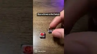 Разница между синим, коричневым и красным переключателем клавиатуры