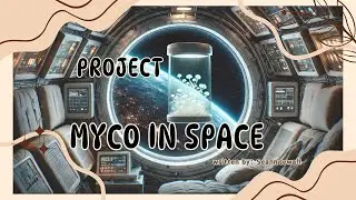 MYCO SPACE - MA Fashion&Technology WS24 25