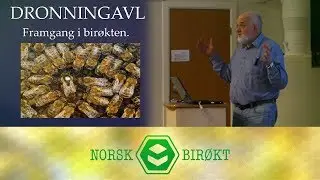 Foredrag om dronningavl - Del1