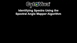 Identifying Spectra Using the Spectral Angle Mapper Algorithm