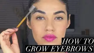HOW TO GROW YOUR EYEBROWS! | EMAN
