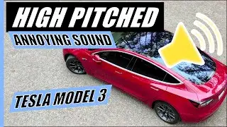 Высокий шум Tesla Model 3 СВОДИТ МЕНЯ С УМА!