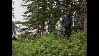 Hiking and Kayaking Discovery Voyages in Prince William Sound