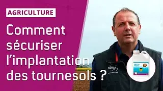 🌻S&eacute;curiser l&rsquo;installation des tournesols avec Algomel PROACT
