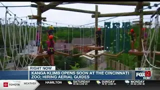 Cincinnati Zoo hiring aerial guides for its high-climbing attraction