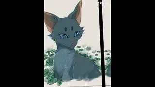 Warriors edit #music #warriorcats #edit