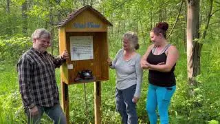 Wind Phone Northumberland Forest June 29, 2023