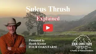 Sulcus Thrush and Equine Bodywork with Heath Kizzier at Four Oaks Products