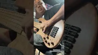 Baixo WG com preamp Tbtech prodigy #bass