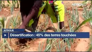 Afrique - D&eacute;sertification : 45% des terres touch&eacute;es