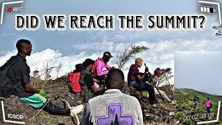 Climbing Mt Cameroon in 24Hrs
