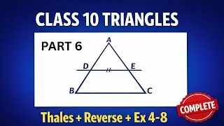 Class 10 Maths Chapter 6 Triangles | Thales Theorem + Reverse Thales + Example 4-8 | NCERT English